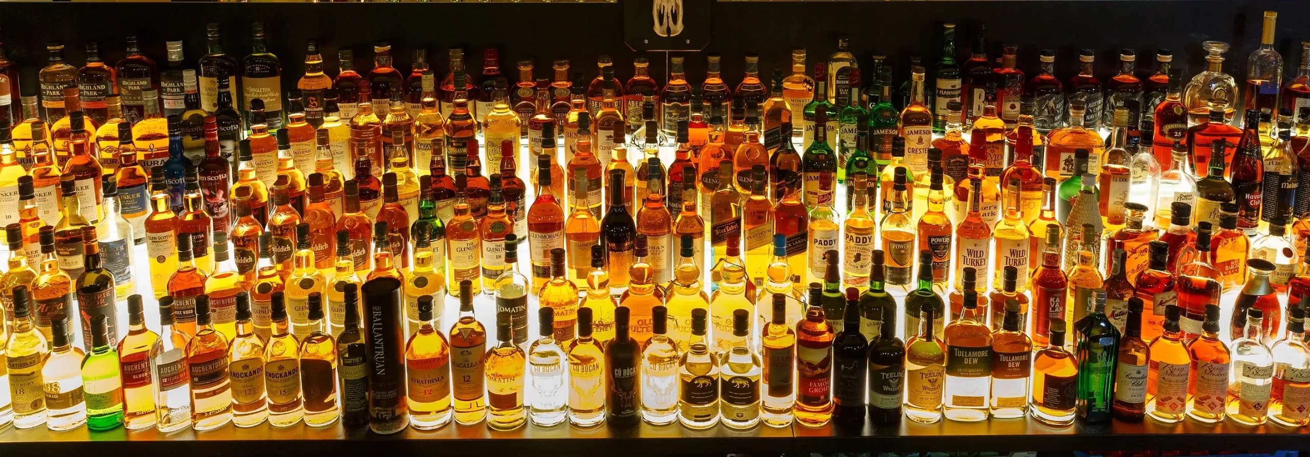 Lounge & Bar